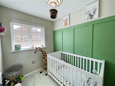 Picture 12